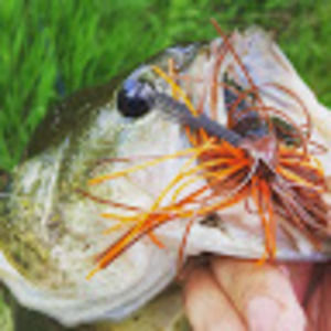 Meet your Posher, Kenny